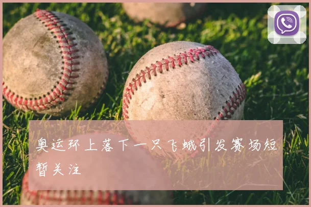 奥运环上落下一只飞蛾引发赛场短暂关注