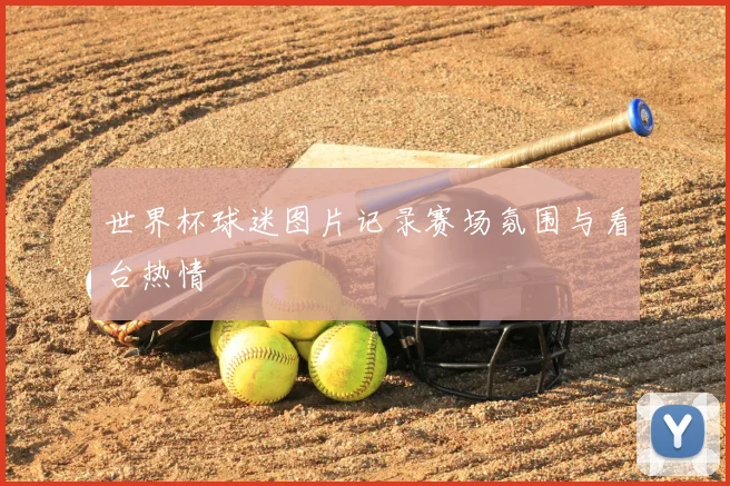 世界杯球迷图片记录赛场氛围与看台热情