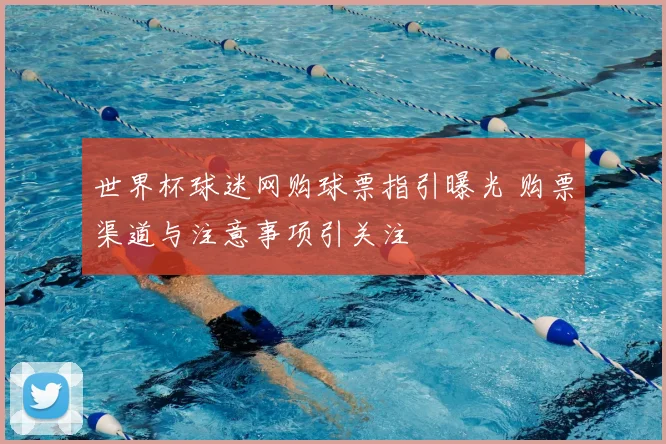 世界杯球迷网购球票指引曝光 购票渠道与注意事项引关注