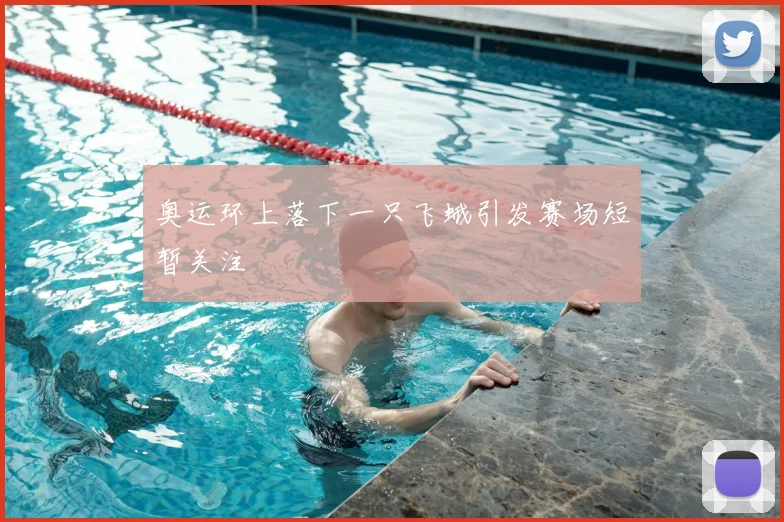 奥运环上落下一只飞蛾引发赛场短暂关注