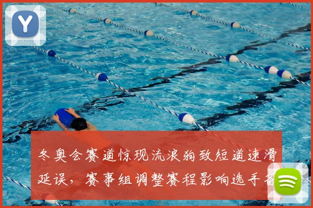 冬奥会赛道惊现流浪狗致短道速滑延误，赛事组调整赛程影响选手备战