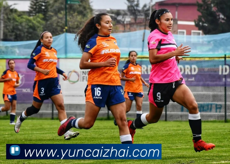 米兰官网入口平台生态图